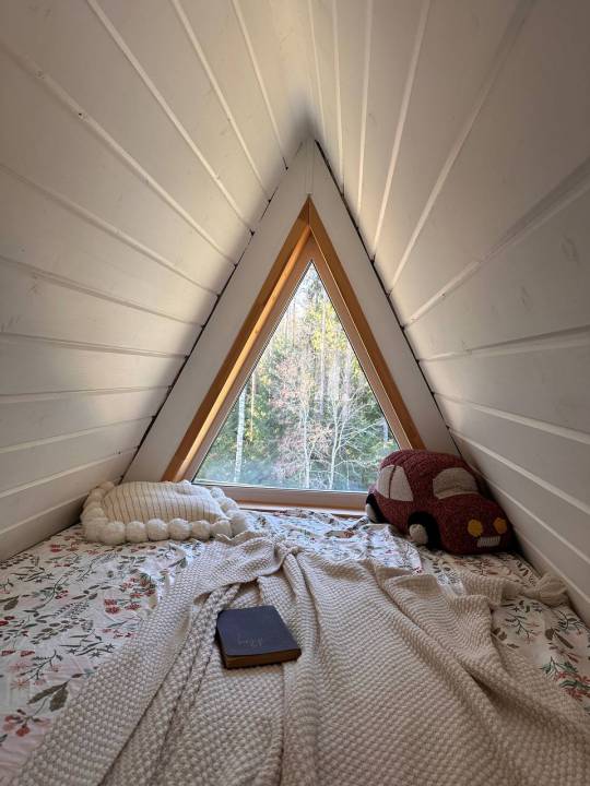 13-photo_5220138762808006037_y.jpg 13-photo_5220138762808006037_y.jpg