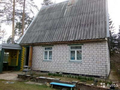 1728317119.jpg