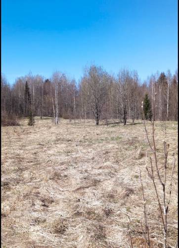 Vielie_Stany_2000.jpg