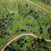 DJI_0310.jpg