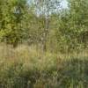 DSC08264.JPG