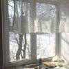 IMG-20180405-WA0012.jpg