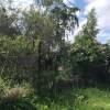 IMG-20180616-WA0002.jpg