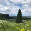 IMG-20180616-WA0003.jpg