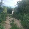 IMG-20180703-WA0002.jpg