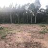 IMG-20180703-WA0007.jpg