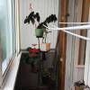 IMG-20180828-WA0000.jpg