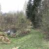 IMG-20190430-WA0019.jpg