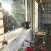IMG-20190828-WA0001.jpg