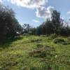 IMG-20190903-WA0008.jpg
