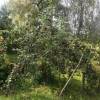 IMG-20190903-WA0011.jpg
