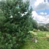 IMG-20190903-WA0015.jpg