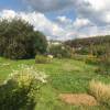IMG-20190903-WA0016.jpg