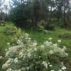 IMG-20190903-WA0018.jpg