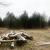 IMG-20191203-WA0008.jpg