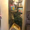 IMG-20200306-WA0014.jpg