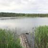 IMG-20200629-WA0015.jpg