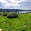 IMG-20240520-WA0004.jpg