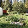 IMG-20240521-WA0015.jpg