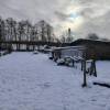 IMG-20241105-WA0012.jpg