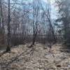 IMG-20250424-WA0006.jpg