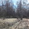 IMG-20250424-WA0012.jpg