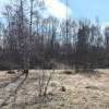 IMG-20250424-WA0014.jpg