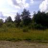 IMG_20150709_162511.jpg