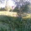 IMG_20150724_184012.jpg