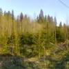 IMG_20160501_185752.jpg