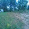 IMG_20160805_142328.jpg