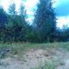 IMG_20160805_142421.jpg