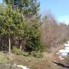 IMG_20200311_120526.jpg