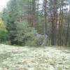 Novyi_risunok_4.bmp