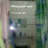STP62908.JPG
