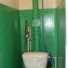 STP64025.JPG