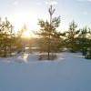 WP_20170214_001.jpg
