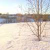 WP_20170214_006.jpg