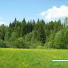 uchastok_006.jpg