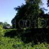 watermarked-1734628424.jpg