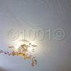 watermarked-IMG_20150222_150440.jpg