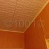 watermarked-IMG_20150915_154036.jpg