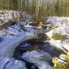 watermarked-IMG_20160326_084721.jpg
