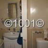 watermarked-IMG_3537.jpg