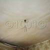 watermarked-IMG_4101.jpg