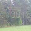 watermarked-P1030152.jpg